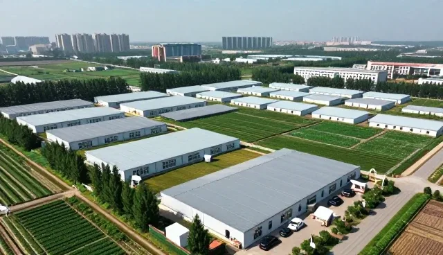 中医特色调理服务在应用分析中的发展趋势